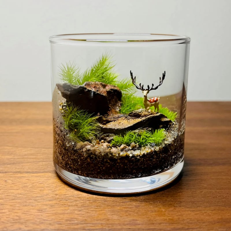 手のひらサイズの苔テラリウム（大角牡鹿・スタンダードカラー） | 苔