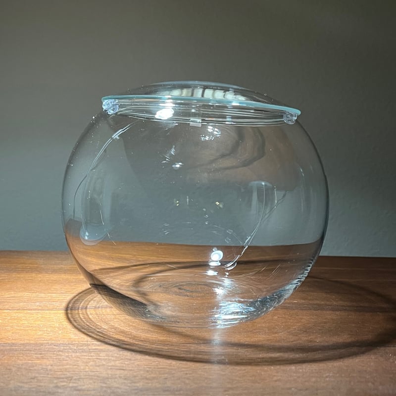 ボール型ガラス容器（Mサイズ／15㎝） | 苔えくぼ～こもれびの森から