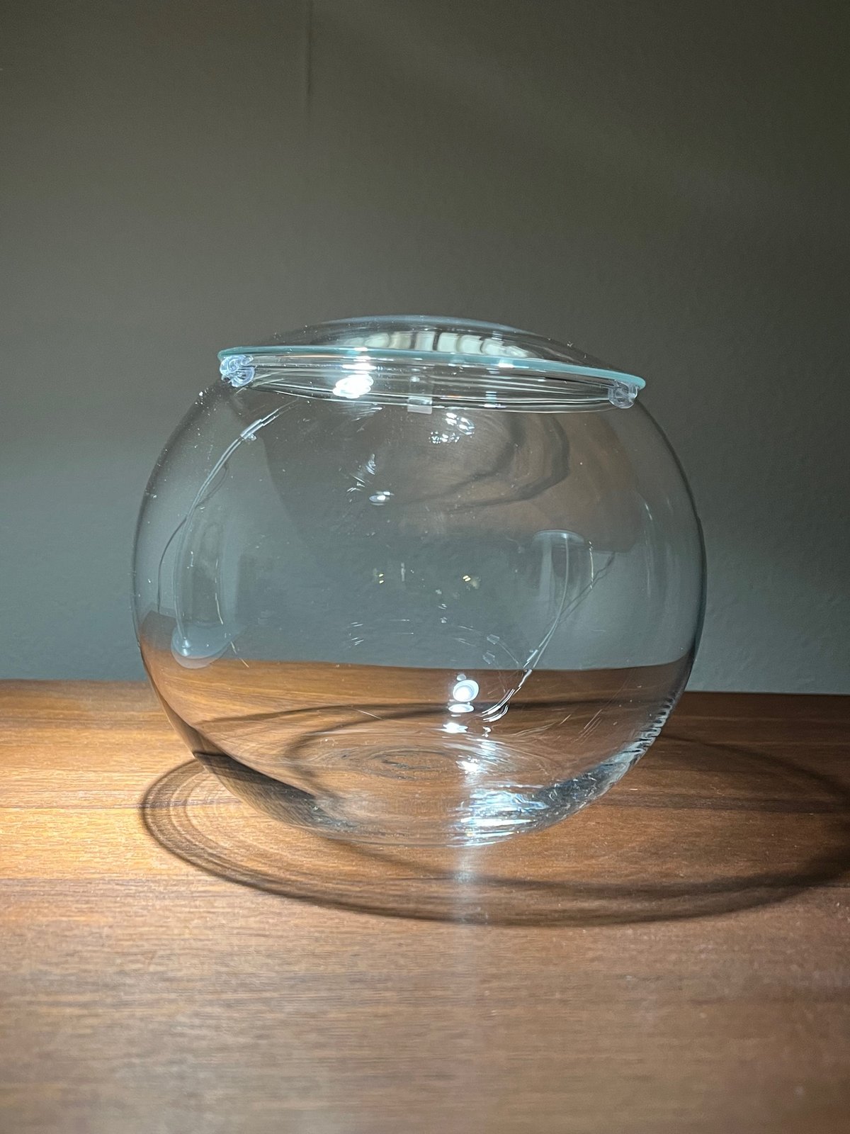 ボール型ガラス容器（Mサイズ／15㎝） | 苔えくぼ～こもれびの森から