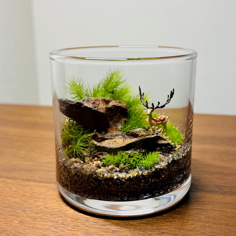 手のひらサイズの苔テラリウム（大角牡鹿・スタンダードカラー） | 苔