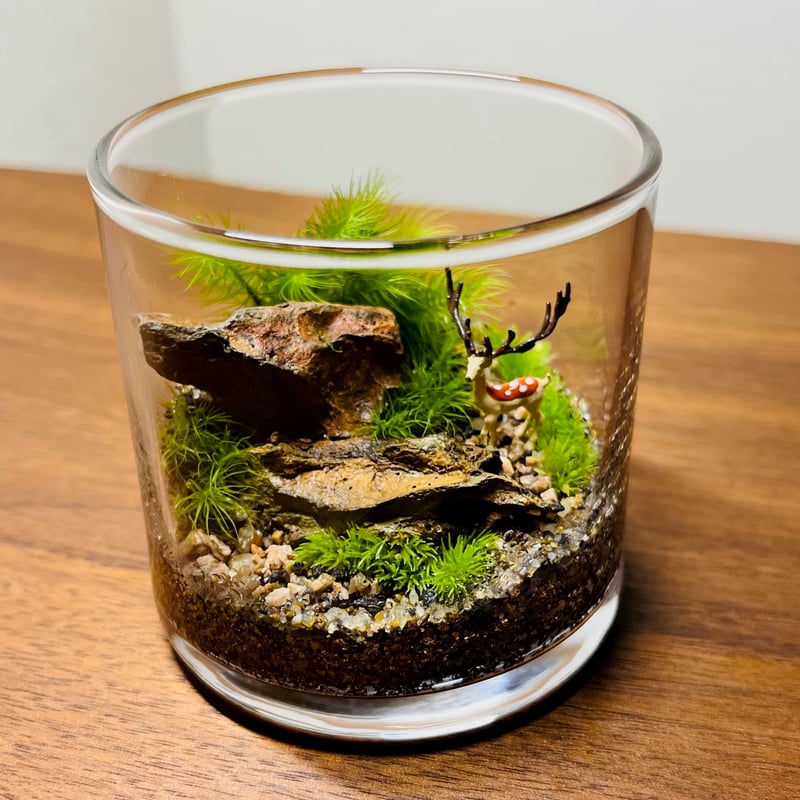 手のひらサイズの苔テラリウム（大角牡鹿・スタンダードカラー） | 苔