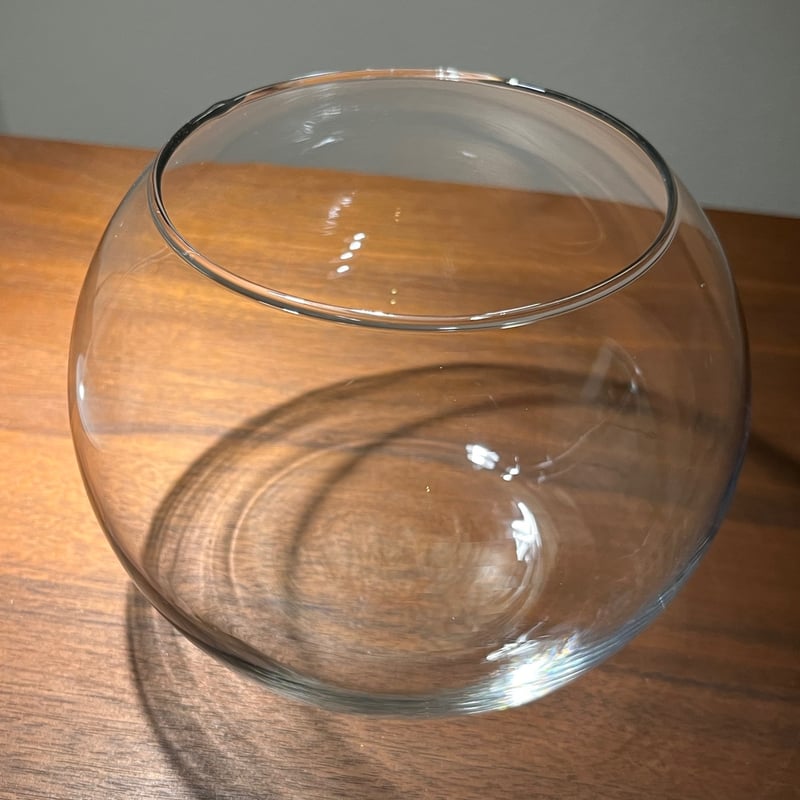 ボール型ガラス容器（Mサイズ／15㎝） | 苔えくぼ～こもれびの森から