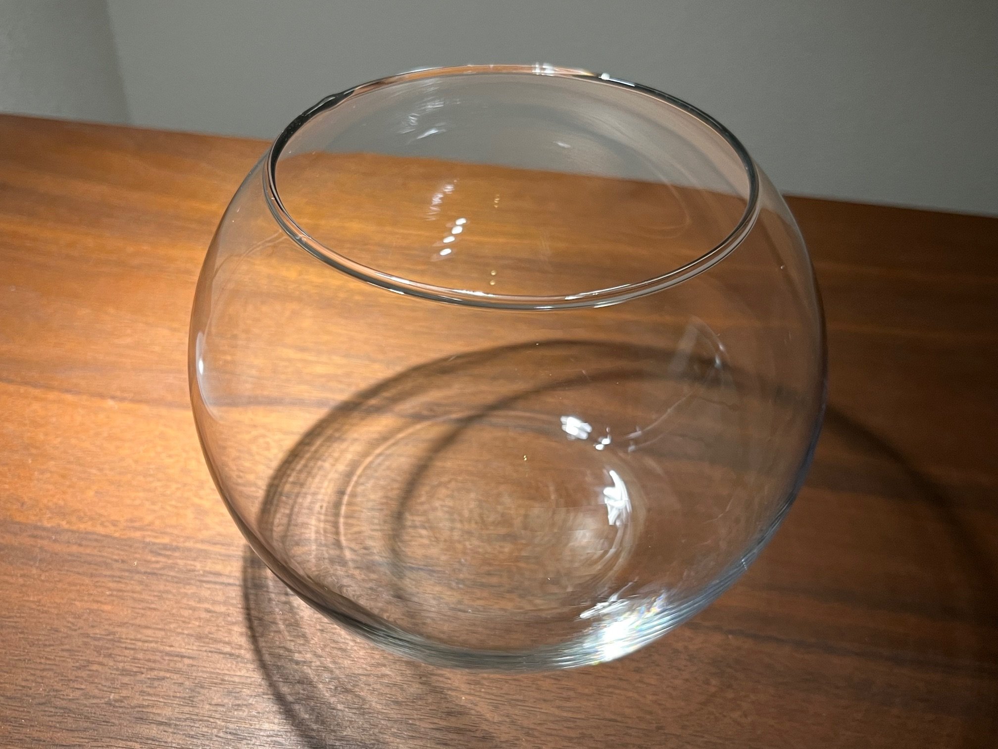 ボール型ガラス容器（Mサイズ／15㎝） | 苔えくぼ～こもれびの森から