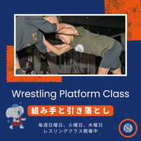 組み手と引き落とし（Wrestling Platform Class）