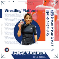 山田海南江レスリングセミナー 組み手とタックル・ガブリの展開