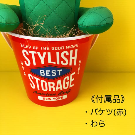 カラフルポップなサボちゃん