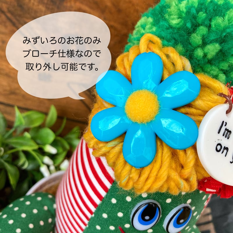 カラフルポップなサボテン カラフルポップなサボテン