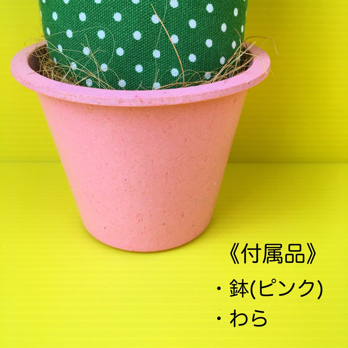 カラフルポップなバニーカクタスちゃん | bigfish TOYS