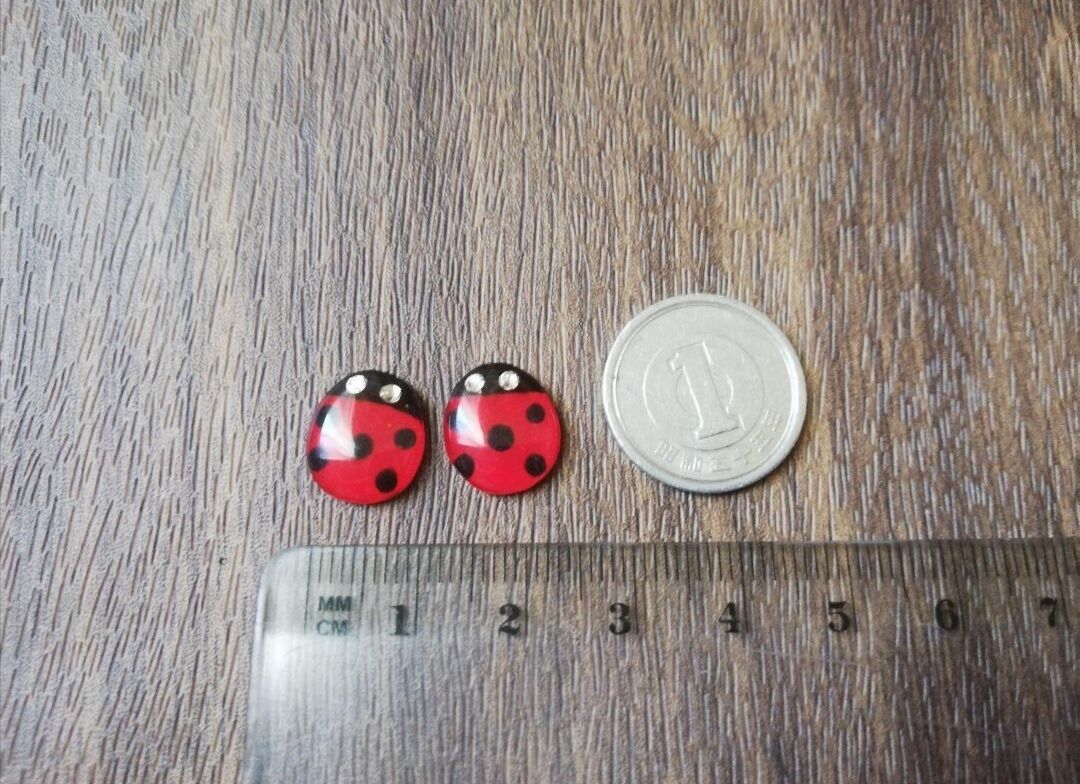 てんとう虫のピアス・イヤリング | riricat's STORE