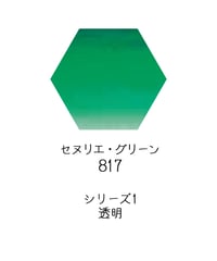 セヌリエ水彩絵具10mlチューブ：817　セヌリエ・グリーン