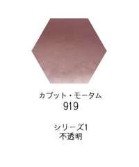 セヌリエ水彩絵具10mlチューブ：919　カプット・モータム