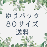 ゆうパック 80サイズ 送料