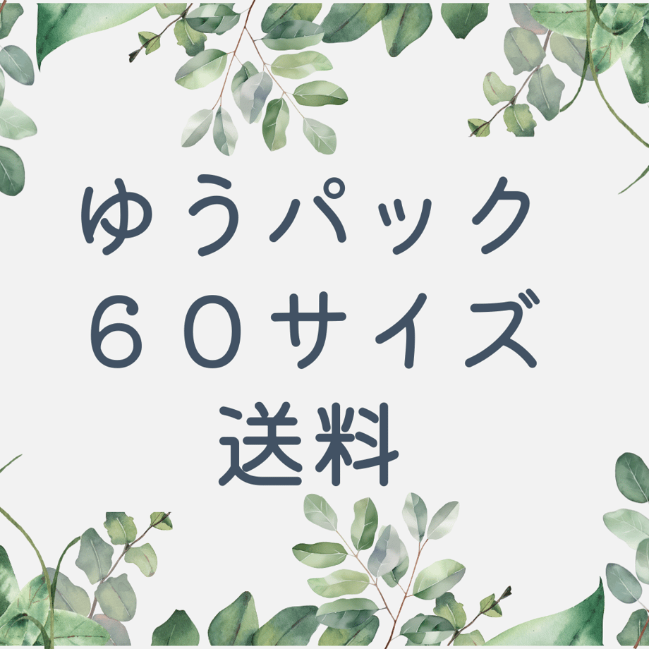 67d6a2cce29535f8851ebfc6