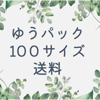 ゆうパック 100サイズ 送料