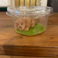 【SZB0020】スクイーズ　子犬