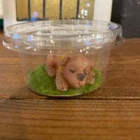 【SZB0022】スクイーズ　子犬