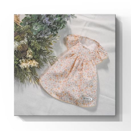 CATEGORY 犬服 | カフェ&セレクト雑貨 Mew