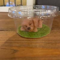【SZB0017】スクイーズ　子犬