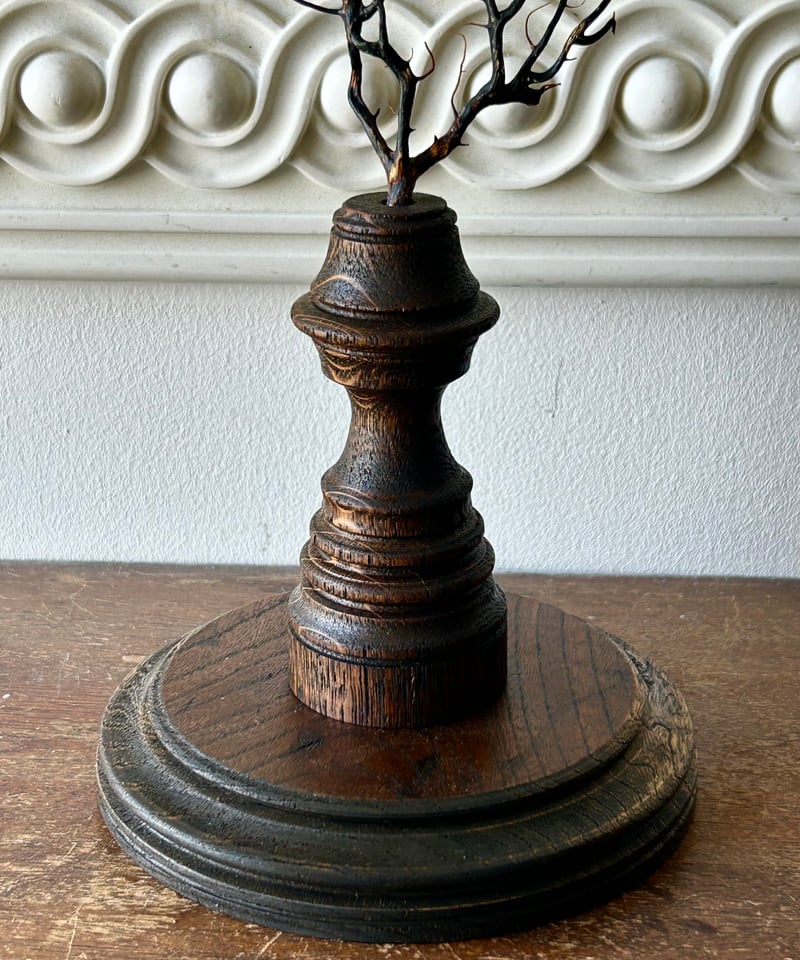 サンゴ標本「海団扇A」/アンティーク/オブジェ | 骨董・アンティーク サンゴ標本「海団扇A」/アンティーク/オブジェ | 骨董・アンティーク