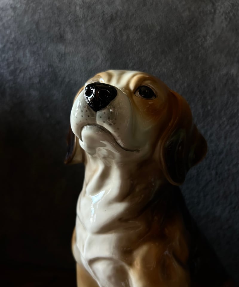 犬 骨董 古物 根付け 根付 ビーグル 【公式通販】