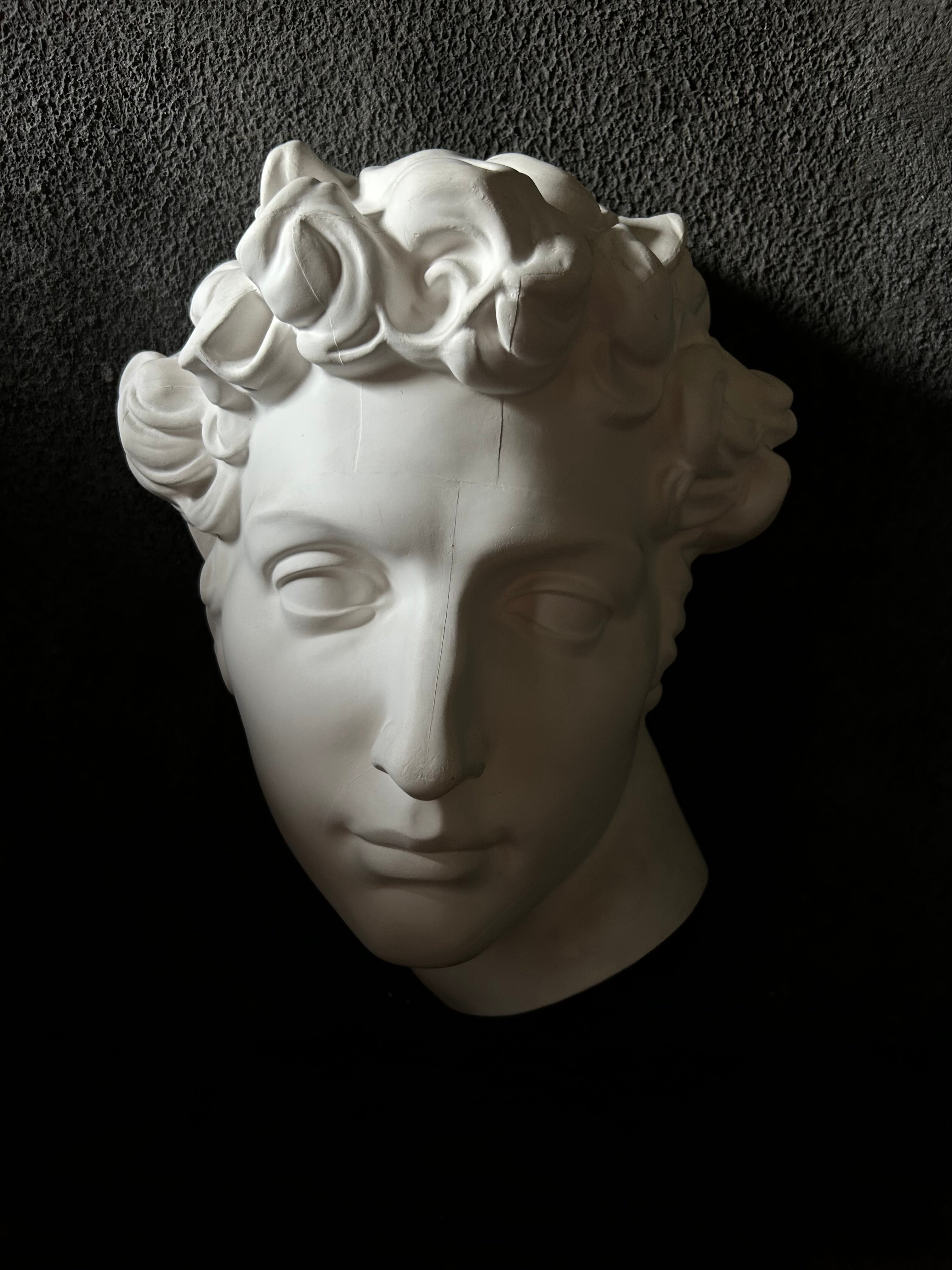 古代ギリシャ風 ホワイトバスト彫刻　石膏像 original