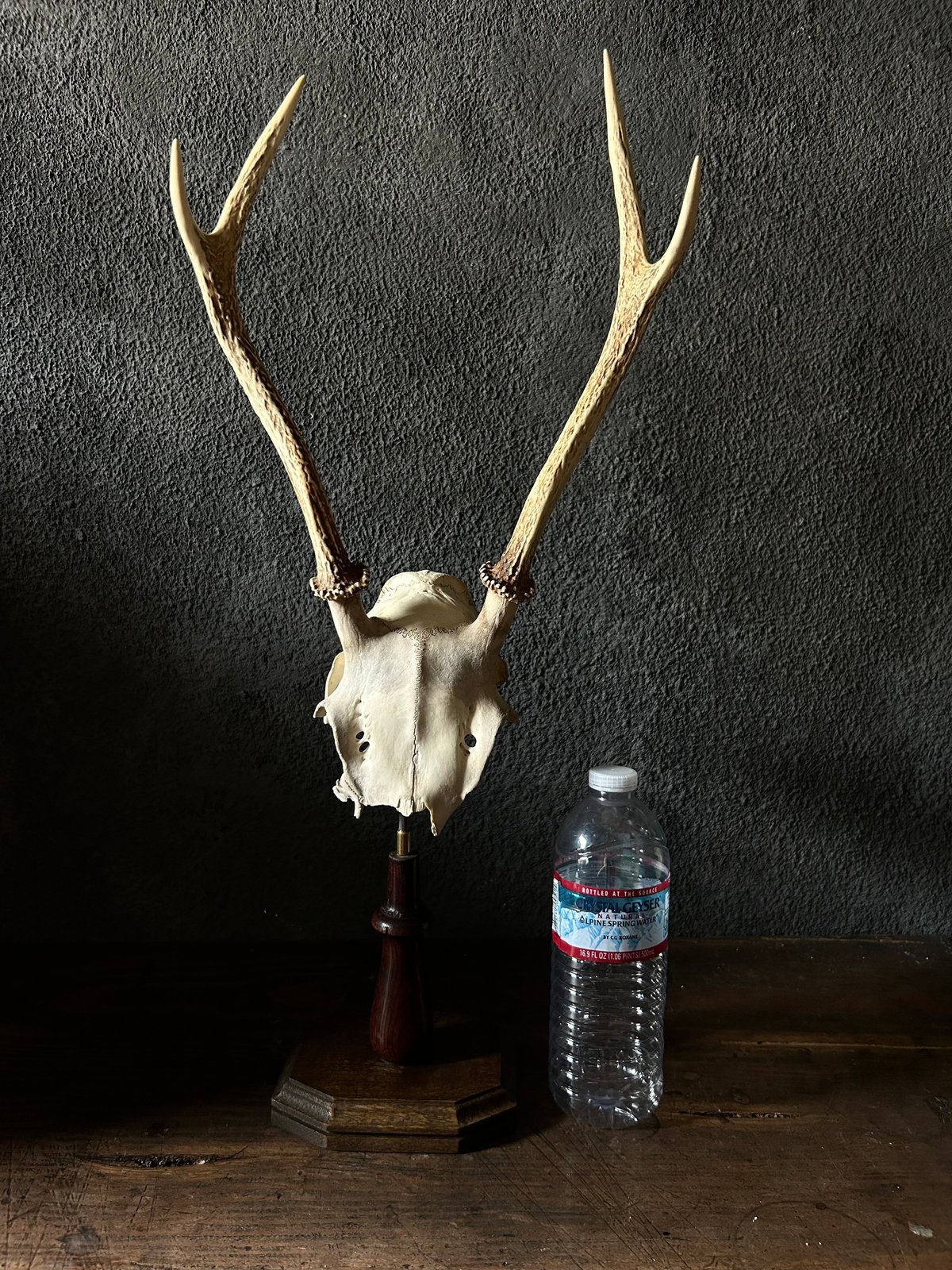 fit=scale-down,w=1200