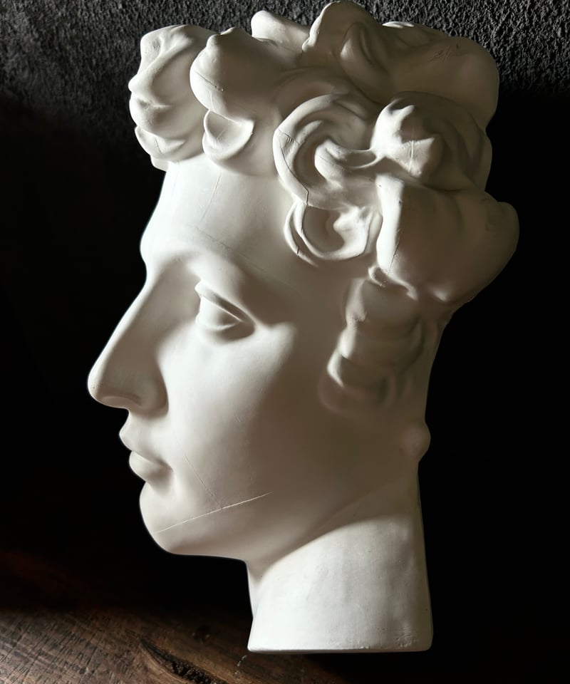 石膏胸像 / ギリシャ神話風 / クラシック 美術像 / 彫刻 装飾