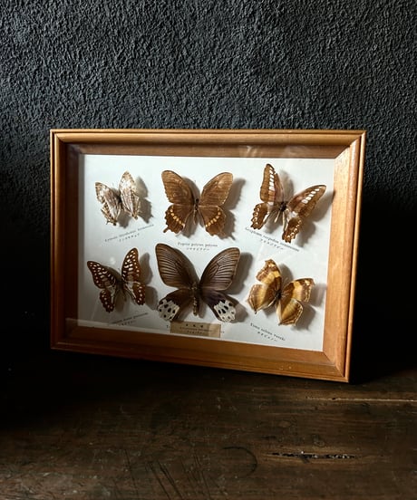 骨董・アンティークのオンラインショップ - 黒鶫骨董店通販サイト