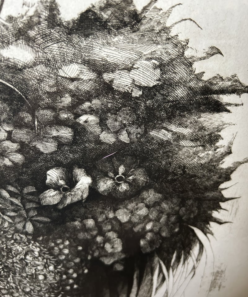 石川忍生「草花」/銅版画/アート/インテリア | 骨董・アンティークの 