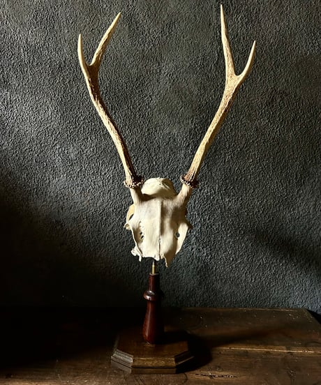 流木 インテリア 骨董品 骨とう品 レトロ 昭和 アンティーク