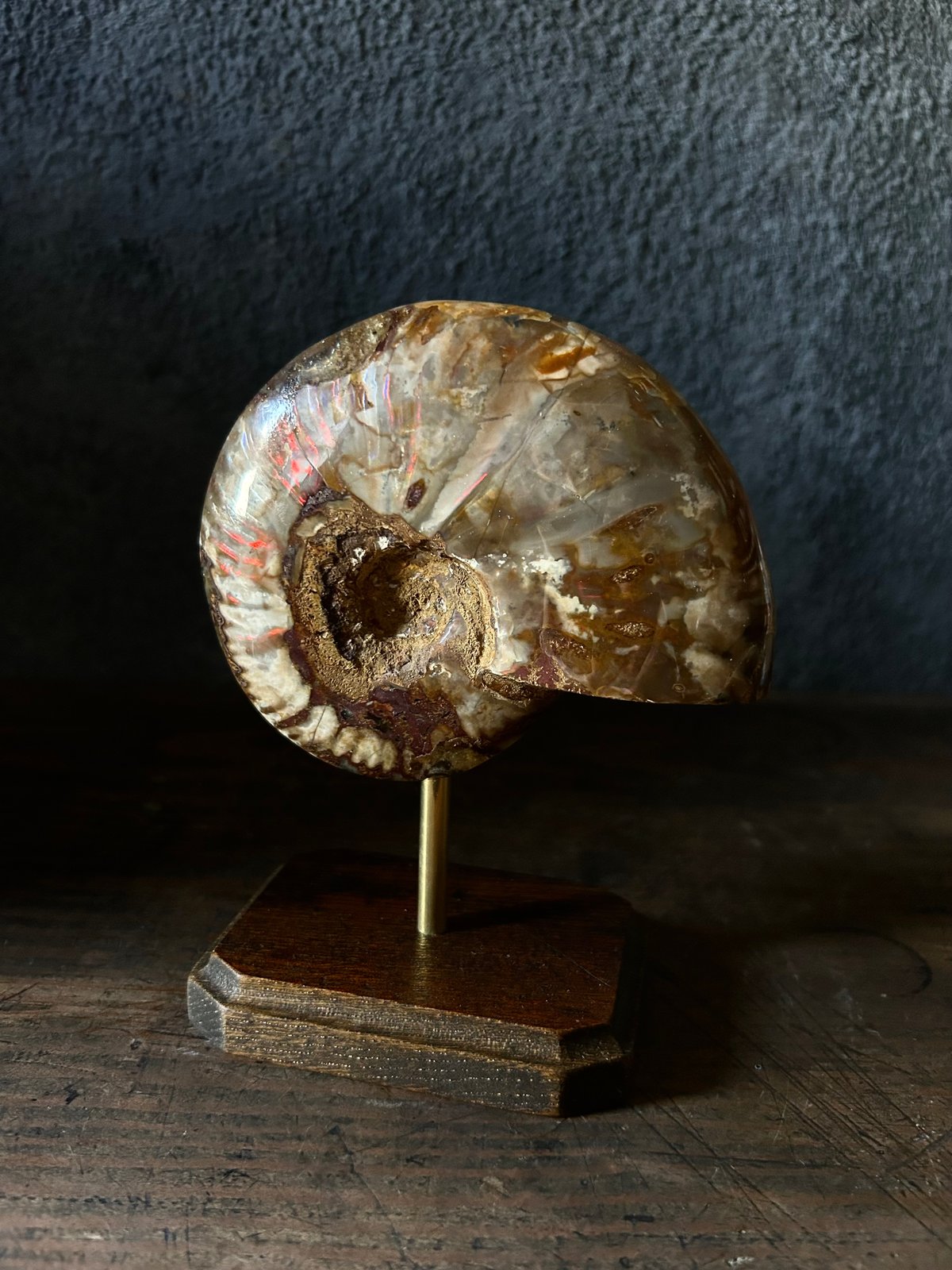 fit=scale-down,w=1200