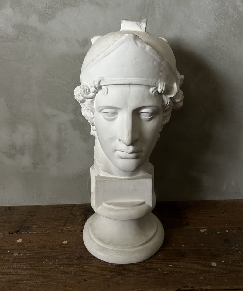 【匿名発送】石膏像 首像 美術 デッサン 彫刻 オブジェ 置物 インテリア Amazon.co.jp: akindou 自宅が美術館 石膏像 風 人物像 レプリカ