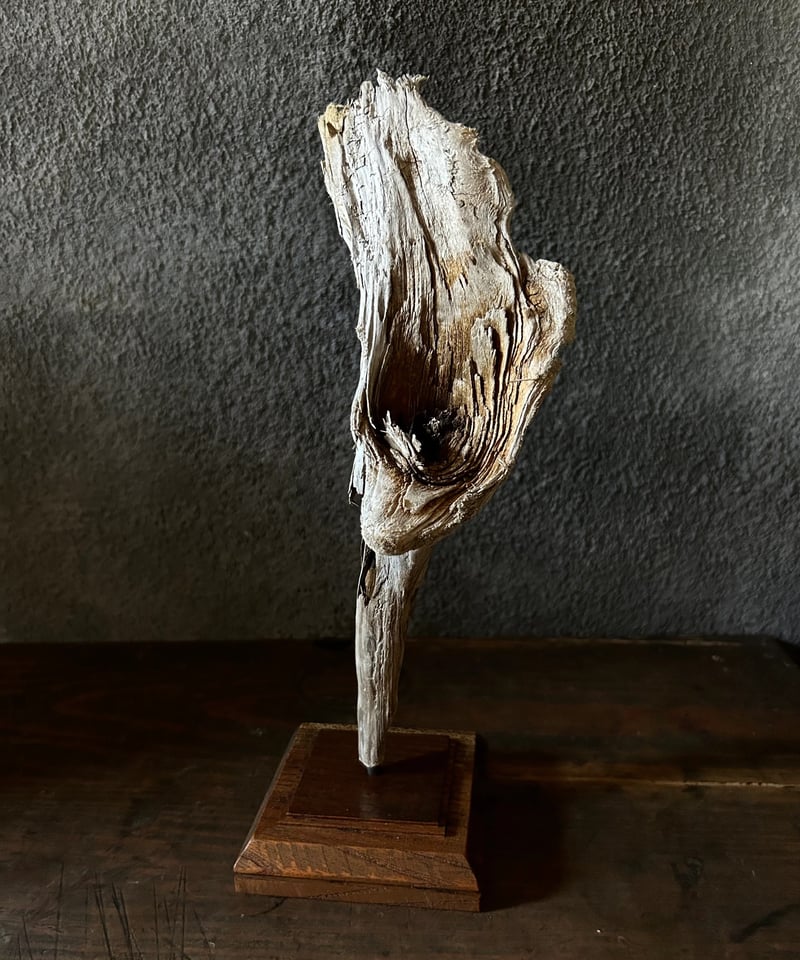 流木アート「花」/インテリア/ヴィンテージ | 骨董・アンティークの