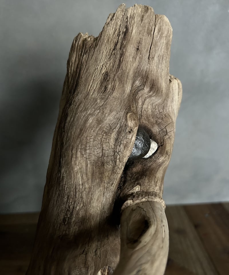 流木のイノシシ