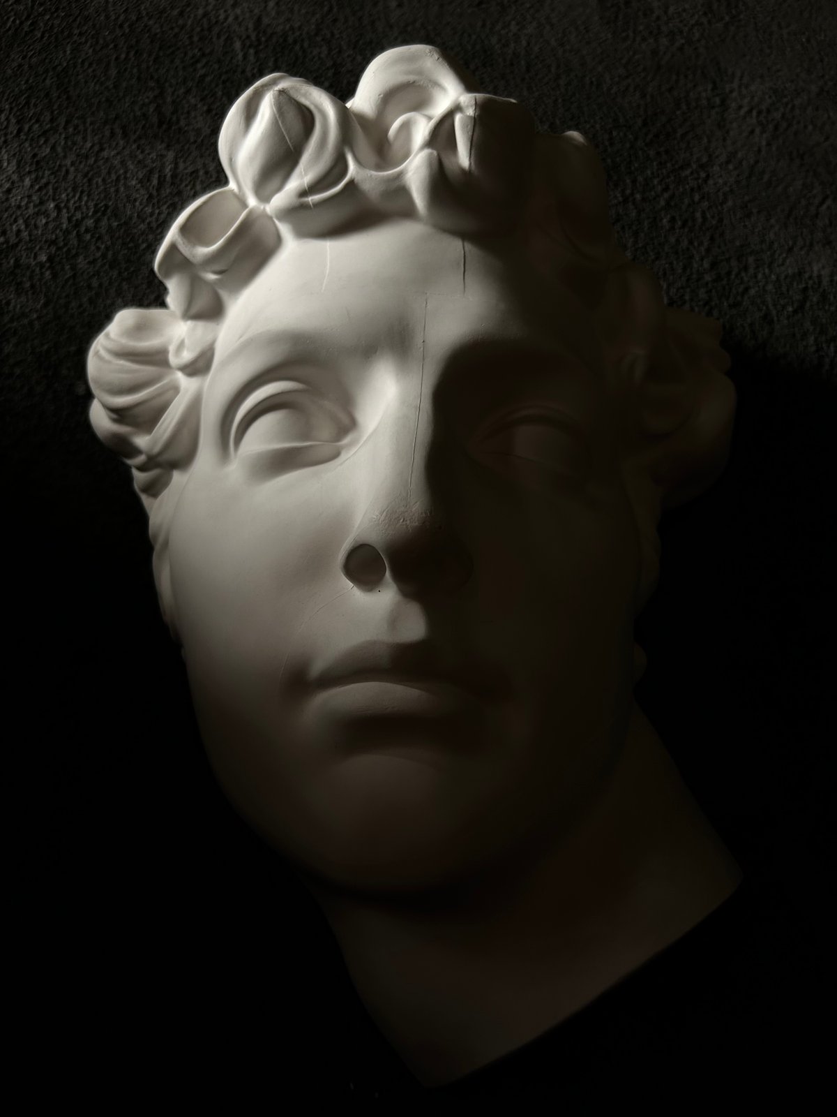 石膏胸像 / ギリシャ神話風 / クラシック 美術像 / 彫刻 装飾