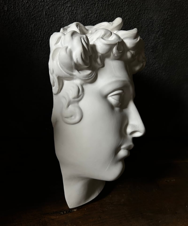 石膏胸像 / ギリシャ神話風 / クラシック 美術像 / 彫刻 装飾