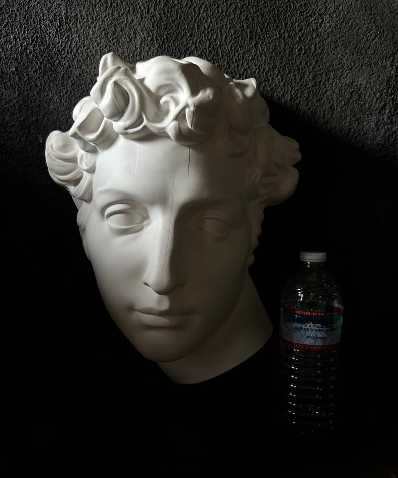 石膏胸像 / ギリシャ神話風 / クラシック 美術像 / 彫刻 装飾