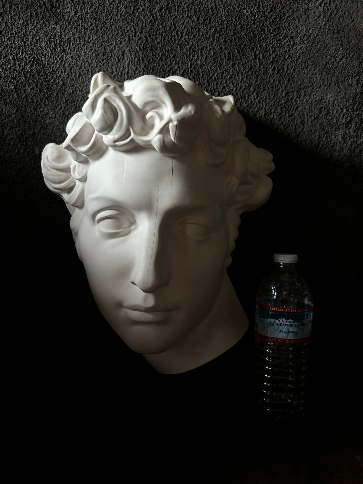 石膏胸像 / ギリシャ神話風 / クラシック 美術像 / 彫刻 装飾