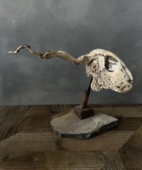 絵画「北の花」/稲垣昌紀/油絵/アンティーク | 骨董・アンティークの