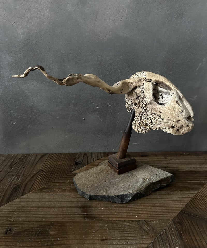 流木アート「頭蓋骨」/オブジェ/インテリア | 骨董 流木アート「頭蓋骨」/オブジェ/インテリア | 骨董