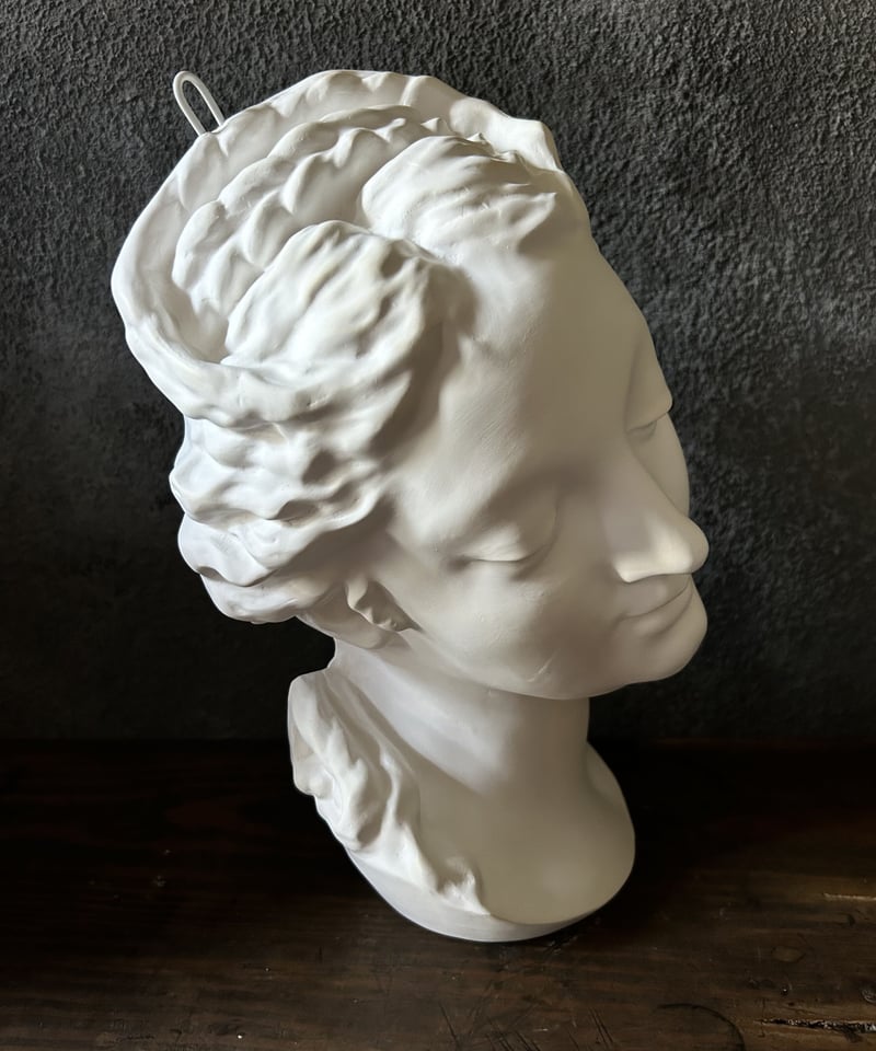 A02755 石膏アート　オブジェ　額付き　骨董品　インテリア　置き物 A02755 石膏アート オブジェ 額付き 骨董品 インテリア 置き物
