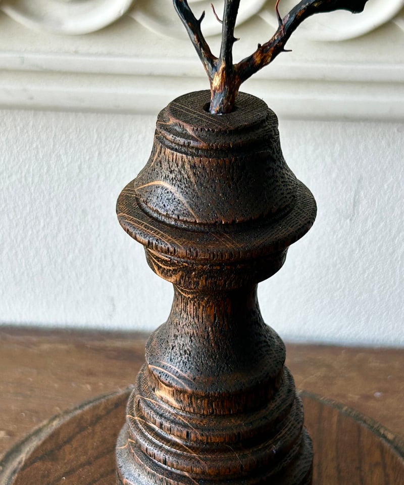 サンゴ標本「海団扇A」/アンティーク/オブジェ | 骨董・アンティーク