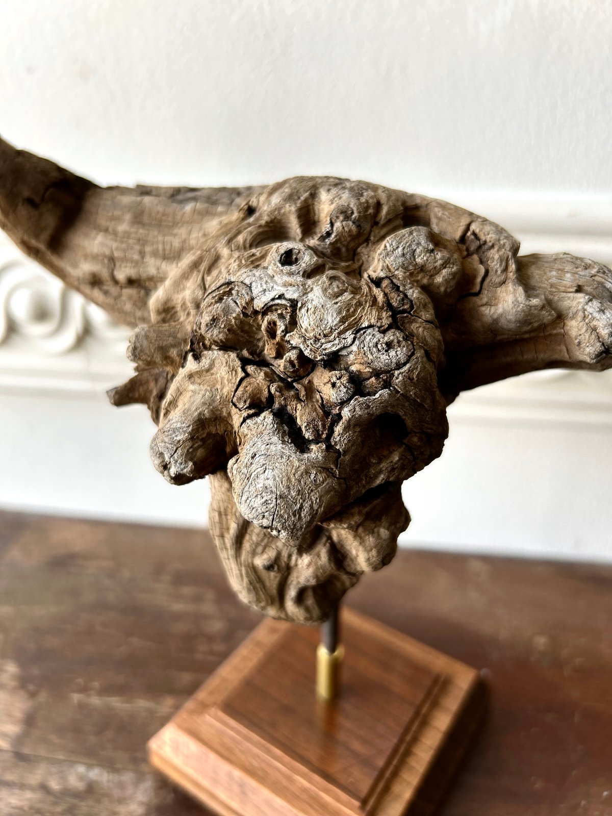 流木アート「パイソン」/アート/骨董 | 骨董・アンティークの