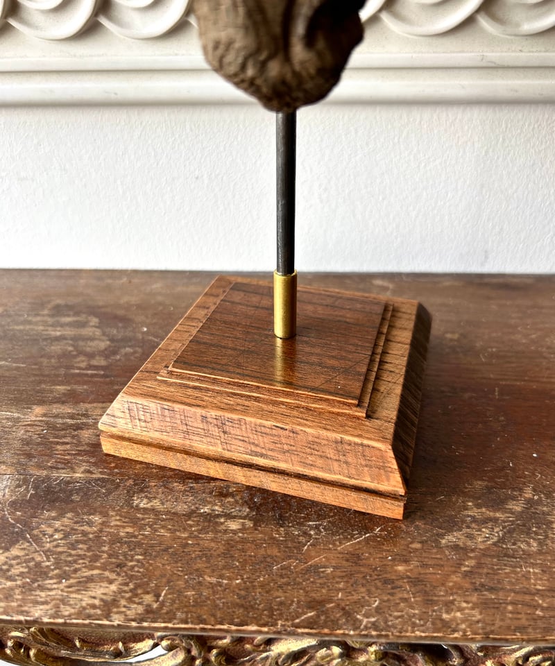 流木アート「パイソン」/アート/骨董 | 骨董・アンティークの