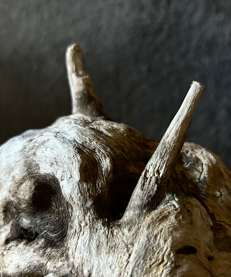 【値下げ】流木アート 置物 インテリア アンティーク インテリア 流木 アート オブジェ 置物 その他インテリア雑貨 mère mer