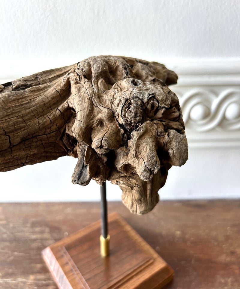 流木アート「パイソン」/アート/骨董 | 骨董・アンティークの