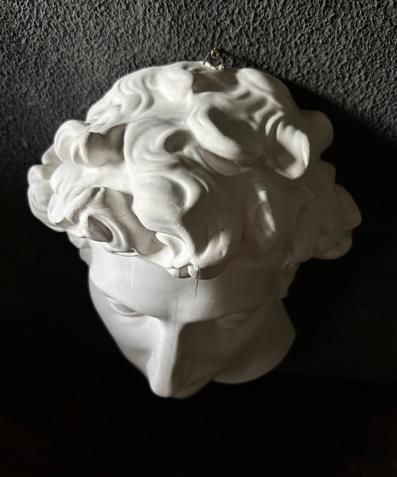 石膏胸像 / ギリシャ神話風 / クラシック 美術像 / 彫刻 装飾