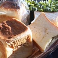 サイコロ生食パン（プレーン）