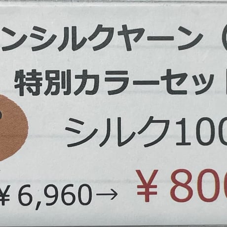14　〈A〉スパンシルクヤーン（極細）特別カラーセット　シルク100％