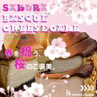 フランボワーズソースと桜バスクチーズケーキ【期間限定】